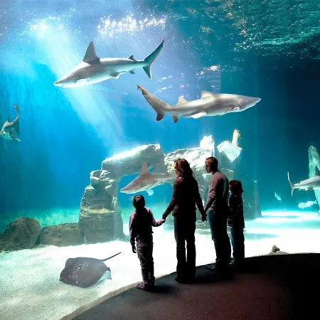 Stazione Principe Miramare Apartment Genua